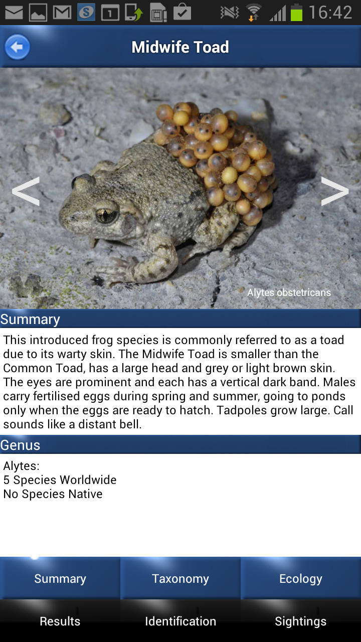 ARC - Amphibians and Reptiles Screen 3