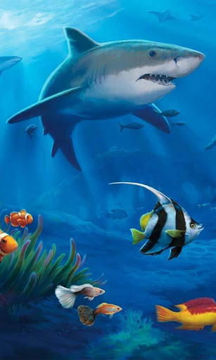 Ocean Aquarium 3D Free LWP