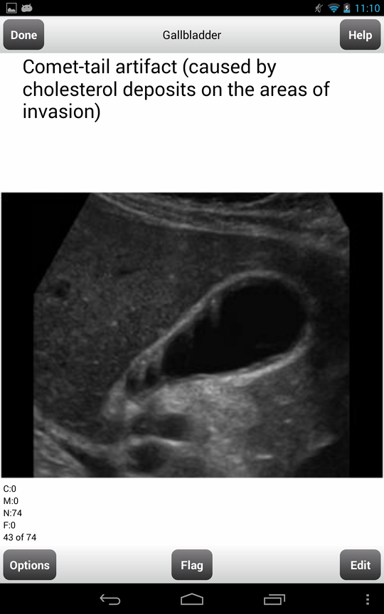 Ob gyn ultrasound training