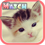 Cute Kitten Match - Memory app Apk