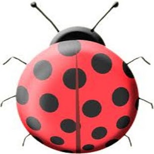 Insectos Screenshots 1