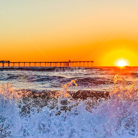 by Roman Gomez - Instagram & Mobile Instagram