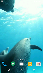 How to download Dolphins HD Live Wallpaper 2.0 mod apk for bluestacks