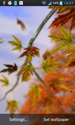 Autumn Leaves in HD Gyro 3D