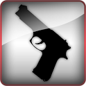 Display Shot icon