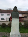 Bust Eftimie Murgu Bozovici