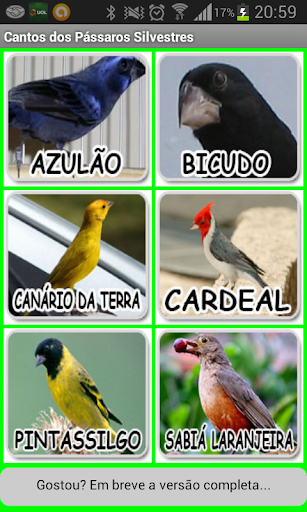 Songs of birds from Brazil