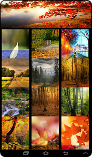 How to download Live Autumn Wallpaper 1.0 mod apk for laptop