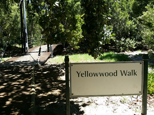 Yellow Wood Walk