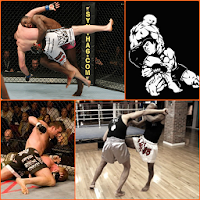 MMA UFC Training