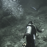 scuba diving by Titus Criste -  