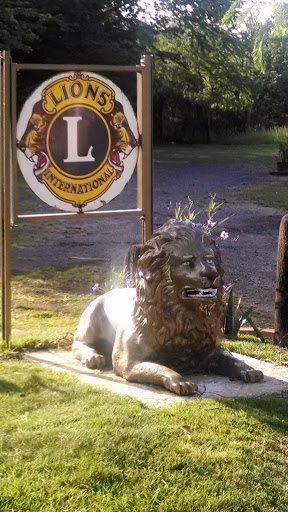 leon del club de leones