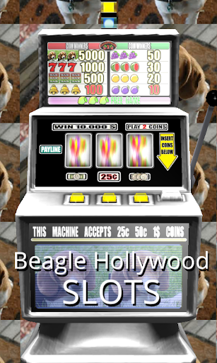 3D Beagle Hollywood Slots