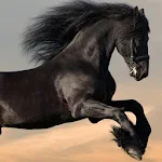 Cover Image of ดาวน์โหลด Horse HD Wallpaper Live 1 APK