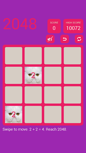 2048かわいい猫