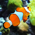 Saltwater Fish Handbook logo