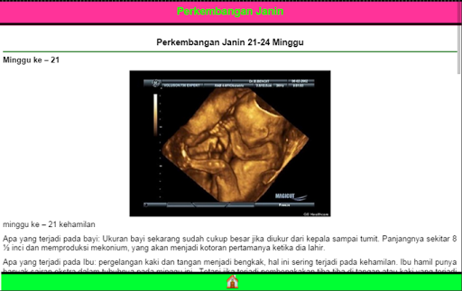 【免費健康App】Perkembangan Janin 1-40 Minggu-APP點子