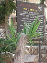 Itamar Ben Avi Garden