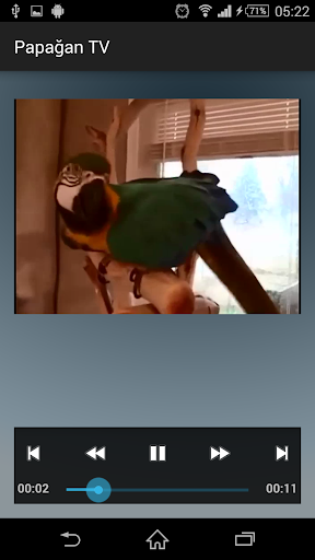 Parrot TV