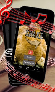 Download Chicken Sound Animal Sound APK for Android