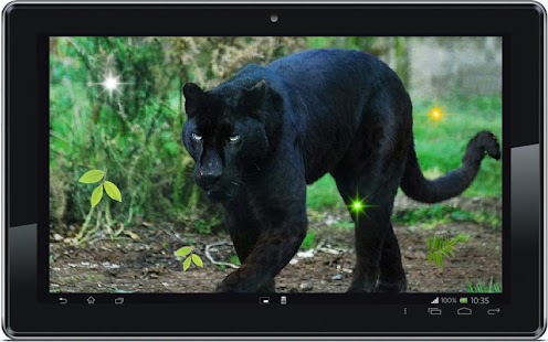 Panther Black Leopard LWP Screenshots 0