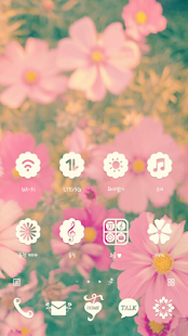 How to install 코스모스 피는 계절 : 카카오홈 테마 patch 3.0 apk for bluestacks