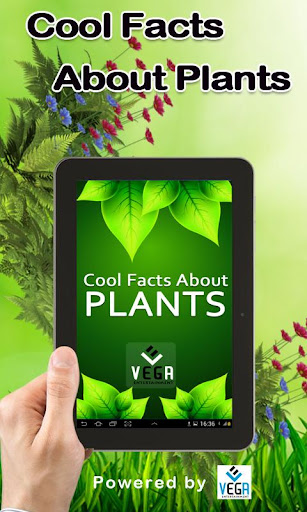 Cool Facts about Plants