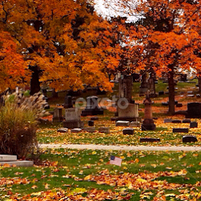 Alone by Bridget Wegrzyn - City,  Street & Park Cemeteries