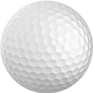 Golf Club Length Pro logo