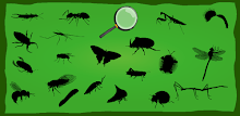 Find Hidden Stuff Game: Insect APK