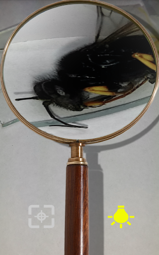 免費下載工具APP|Magnifying Glass Realistic app開箱文|APP開箱王