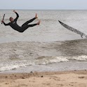 Surfcheck logo