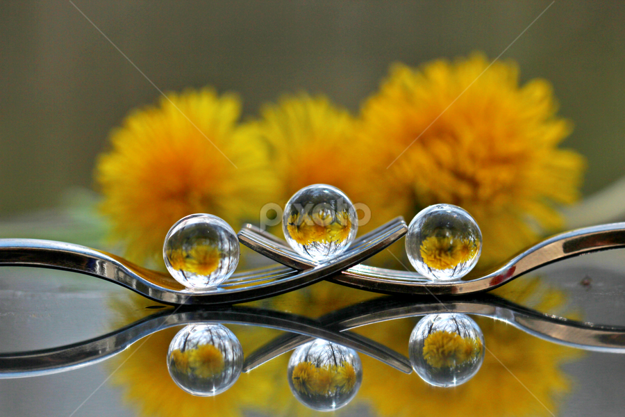 by Dipali S - Artistic Objects Other Objects