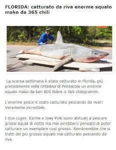 Mondo Pesca News screenshot 16