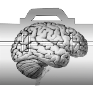 Neurology Exam Tools.apk 2.0