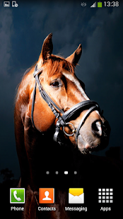 Horses Live Wallpaper Screenshots 16