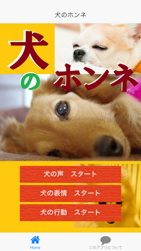 犬のホンネ