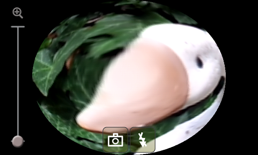 Fisheye Camera 3
