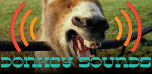 Donkey Sounds Prank APK