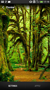 How to download Forest Live Wallpaper 4.0 apk for laptop