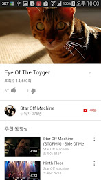 CatTube - Video of cat breeds poster 2