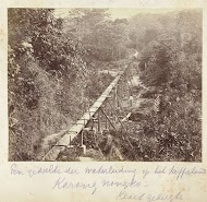 Houten waterleiding voor het irrigatiesysteem op koffieplantage Karang Nangko