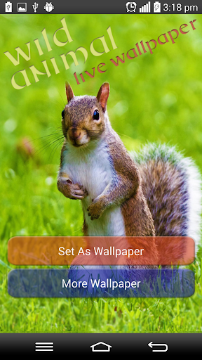 Wild Animal Live Wallpaper