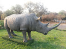 Kruger National Park Rhino Awareness Statue