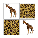 Memorize! Zoo logo