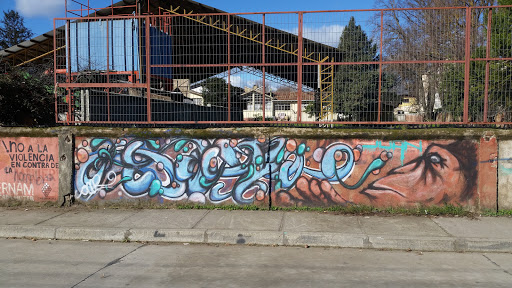Grafitti Chimpancé