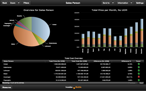 incadea Business Analytics