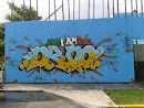 Arte Urbano Calle 8 Y Av 25