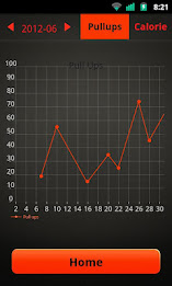 Pull Ups Workout poster 7