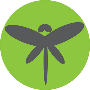Dragonfly CM12 Full Version.apk 1.5